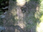 100_0299.jpg