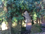 100_0302.jpg